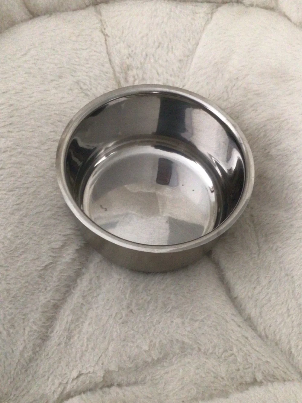 Stainless Steel Pet Bowl - Silver